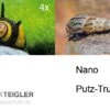 Nano Putz-Truppe: 4x Geweihschnecke + 5x Turmdeckelschnecke 2 Nano Putz-Truppe: 4x Geweihschnecke + 5x Turmdeckelschnecke -Container Haustiere Geschäft Nano Putz Truppe 4 x Geweihschnecke 5 x Turmdeckelschnecke