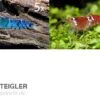 TiBee Starterpack: 5 X Blaue Tigergarnele + 5 X Crystal Red Garnele 2 TiBee Starterpack: 5 X Blaue Tigergarnele + 5 X Crystal Red Garnele -Container Haustiere Geschäft TiBee Starterpack 5 x Blaue Tigergarnele 5 x Crysta